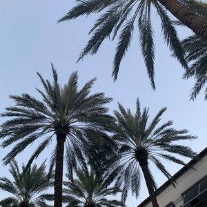 Meet your Posher, Bella